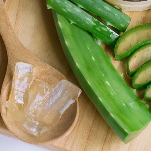 6 receitas caseiras com babosa para hidratar o cabelo